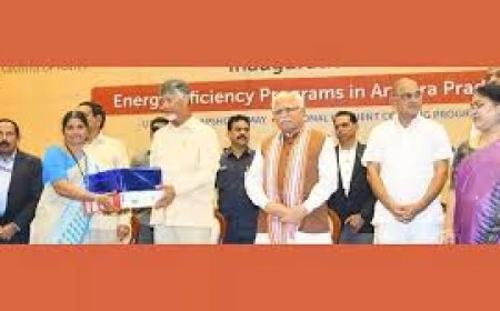 EESL,  proactive approach towards sustainable energy solutions