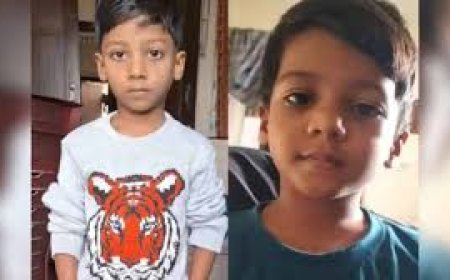 Eight-year-old boy succumbs to dog bite in Telangana