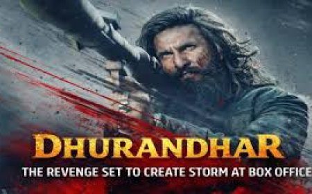 Dhurandhar The Revenge Breaks All Box Office Records