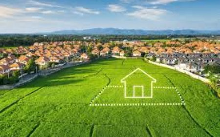 337 beneficiaries get plots in second phase