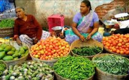State poised to become model veg hub: Expert