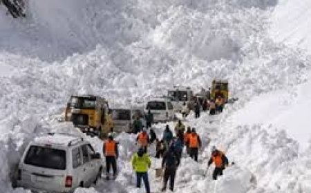 7 killed after multiple avalanches hit Srinagar-Leh NH