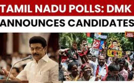 DMK Unveils Full Candidate List for Tamil Nadu Polls; Stalin to Contest from Kolathur