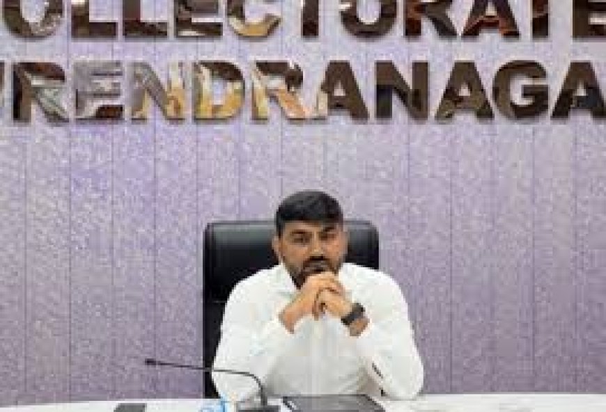 Ex-Surendranagar Collector Denied Bail in Money Laundering Case