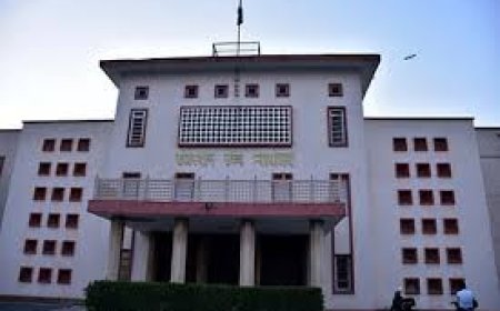 Rajasthan HC removes critical remarks on new transgender law