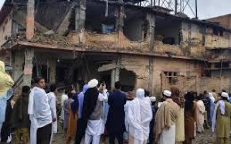 800 Taliban killed in ongoing operation: Pakistan