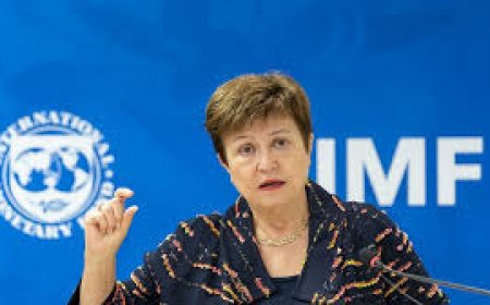 Pain due to war unavoidable: IMF chief