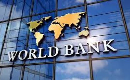 India has ample buffers to weather headwinds from West Asia conflict: World Bank