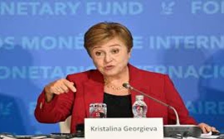 Pain due to war unavoidable: IMF chief