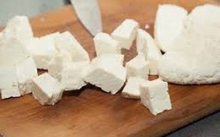 18 Units Sealed In Gujarat Crackdown For Hiding Synthetic Paneer Label