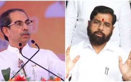 Uddhav's MPs joining Shinde Sena? 'Operation Tiger' buzz in Maha