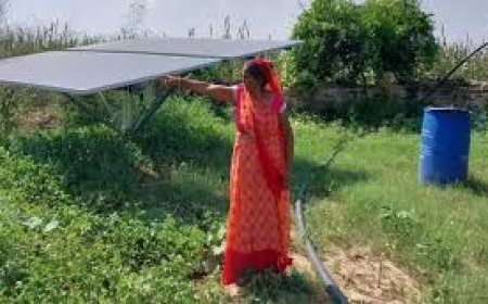 Shantilata keeps lands fertile from 20 ft up