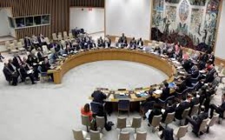 India Champions Global South, Demands UN Security Council Reforms