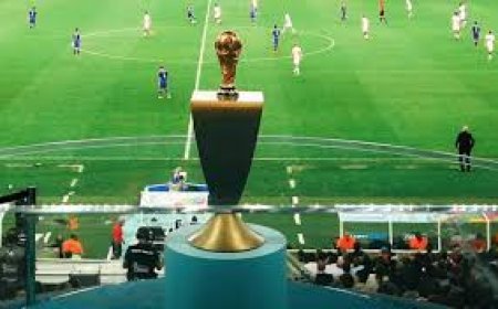 Italy rejects Trump envoy's suggestion to replace Iran at World Cup