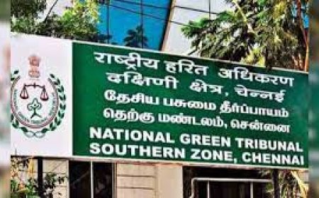 National Green Tribunal serves notices to IPL venues, authorities confident matches will go on