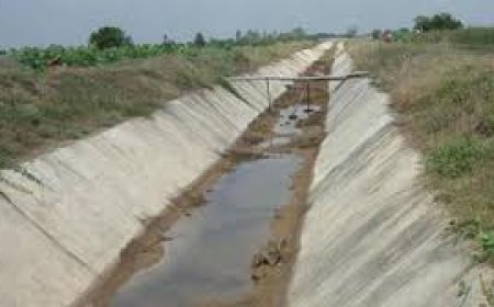 AP farmers concerned over delay in canal maintenance works in Godavari districts