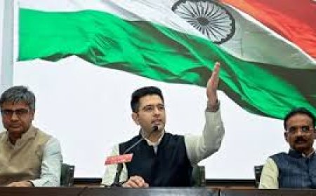 People are Masters : Raghav Chadha Loses 1.1 Million Instagram Followers After AAP Rebellion