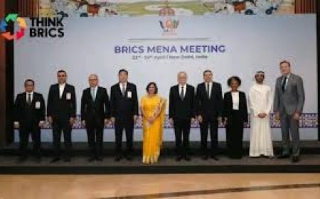 No joint statement as BRICS MENA fails to reach consensus on West Asia: MEA