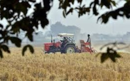 Farmers concerned over impact of India–US trade deal: Telangana min