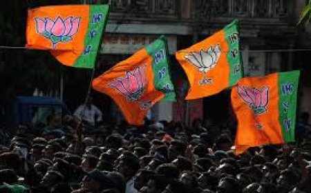 Saffron wave in Gujarat as BJP wins all 15 corporations, 33 dist panchayats
