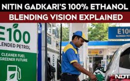 No Future For Petrol And Diesel Vehicles: Transport Minister Nitin Gadkari