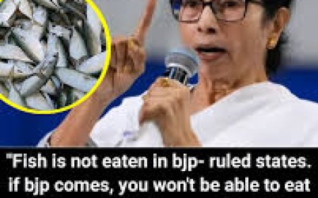 Fish To Jhalmuri, Identity To SIR: Issues That Shaped Bengal Polls