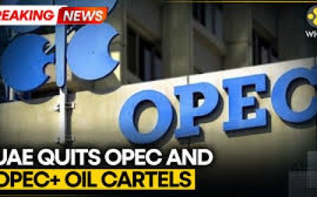 UAE To Quit Oil Exporting Groups OPEC, OPEC+ Amid Iran War