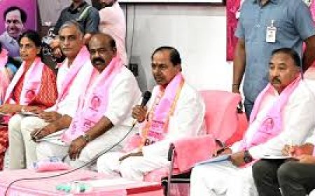 K Chandrasekhar Rao rolls up sleeves for BRS revival
