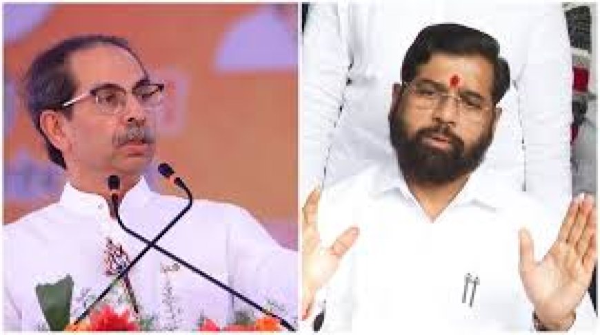 Uddhav's MPs joining Shinde Sena? 'Operation Tiger' buzz in Maha