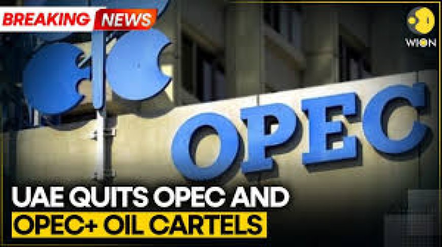 UAE To Quit Oil Exporting Groups OPEC, OPEC+ Amid Iran War