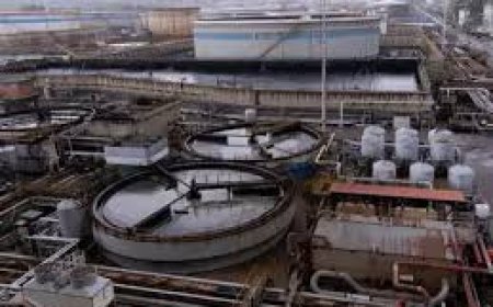 Ukraine Seeks to Boost Economic Ties with India in Agriculture, Steel, Tech