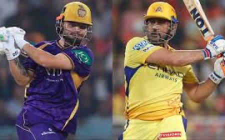 Dhoni skips CSK matches to avoid distraction: Hussey