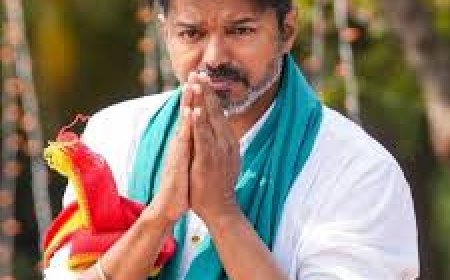 Will form govt with absolute majority: Vijay's TVK