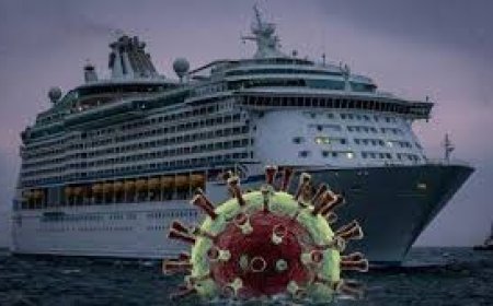 Inside the cruise ship at the center of a rare hantavirus outbreak,