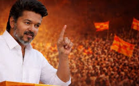 Vijay’s TVK gains big as Telugu voters swing border segments