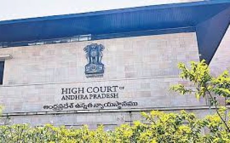 Andhra Pradesh HC issues notices to officials on GITAM land 'dispute'