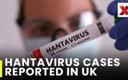 Hantavirus poses no immediate threat to India, says virologist