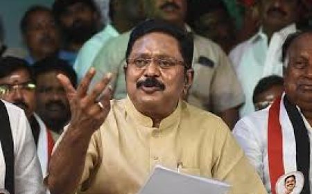 'Could Be Forgery': AMMK Chief On TVK Claiming Support Of His MLA 