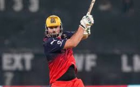 IPL 2026: RCB's Tim David penalised for obscene gesture after win over Mumbai Indians