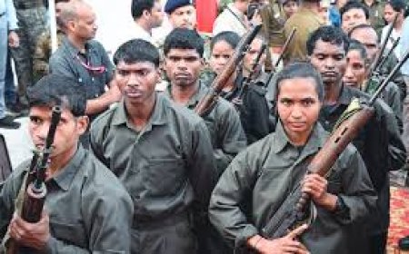 What broke the back of Naxalism in Gadchiroli