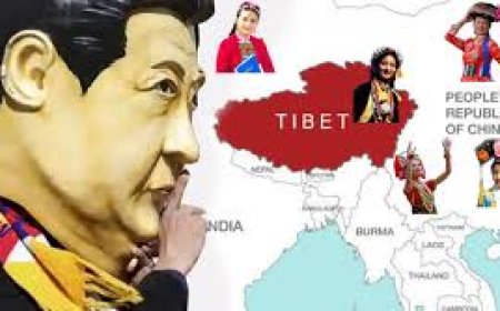 Chinese education system in Tibet sparks concerns over cultural assimilation, identity erasure