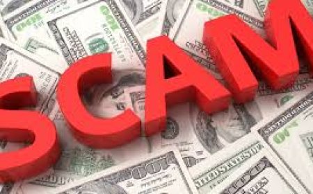 Supreme Court Grants Bail In Rs 3,700 Crore Investment Scam