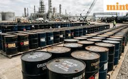 UAE to store 30 mn barrels of crude in India's petroleum reserve: Misri