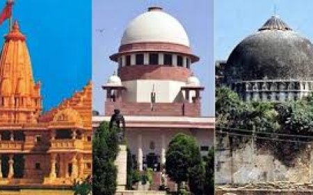 10 Principles From fractured Ayodhya Verdict That Paved Way For Bhojshala Temple