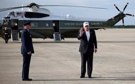 Trump says US, Nigerian forces 'eliminate' ISIS second-in-command Abu-Bilal al-Minuki in Africa