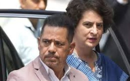 'I have nothing to hide': Robert Vadra slams ED after bail in land deal-linked PMLA case