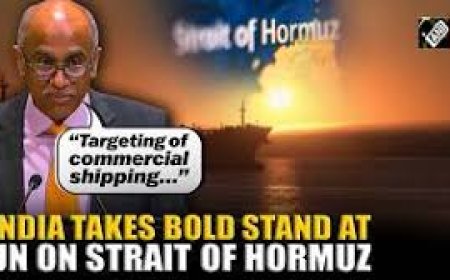 Targeting commercial ships,impeding navigation in Strait of Hormuz unacceptable: India’s UN envoy