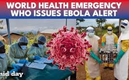 WHO declares international emergency as Ebola outbreak kills more than 80 in DR Congo