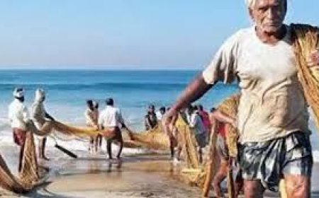 Andhra CM Naidu to disburse Rs 262 crore to fishermen under 'Matsyakaarula Sevalo' scheme.