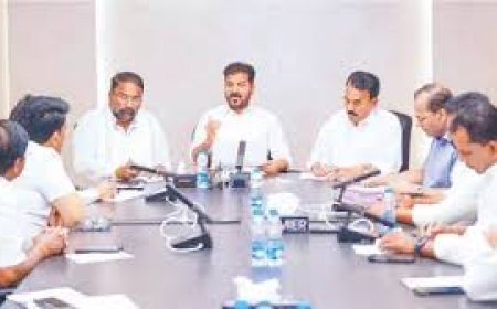 Put Palamuru-Rangareddy LI on fast track, asks CM,